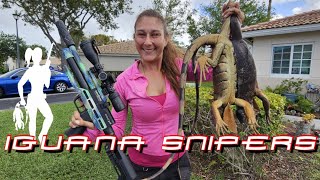 Iguana Hunting at South Florida Homes with Iguana Snipers [upl. by Adnihc]