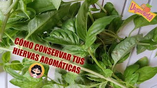 CÓMO CONSERVAR TUS HIERBAS AROMÁTICAS  Trucos de Cocina [upl. by Eatnoj]