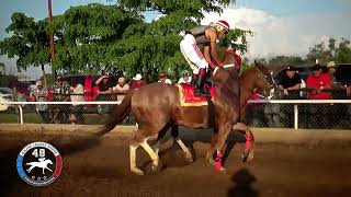 EL AMIGO VS EL MACARIO VS EL DON BLANCO [upl. by Aerehs901]