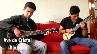 🎸INTROS CHARANGO KJARKAS 2🎶‼️Ave de Cristal  Quiero saber  Phuru Runas  Antawara  A nadie🇧🇴 [upl. by Kenley]