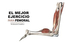 VIDEOpaper El mejor ejercicio para FEMORAL [upl. by Inglebert710]