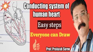 How to draw Conducting system of Human heart diagram easily  Imp Diagram  By Prof Prakash Surve [upl. by Cini620]