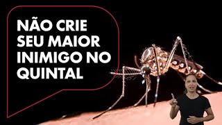 Campanha do Estado de SP alerta contra mosquito da dengue qual o animal mais perigoso do mundo [upl. by Sargent]