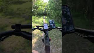 Shortcut To Withlacoochee State Trail citrus ebike Withlacoochee State Trail [upl. by Garate]