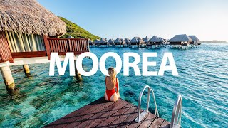 ULTIMATE MOOREA FRENCH POLYNESIA TRAVEL GUIDE WHALES OVERWATER BUNGALOWS amp TOP THINGS TO DO [upl. by Yra]