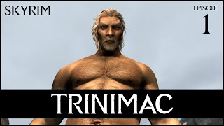 Skyrim Build TRINIMAC  1  Elf Warrior God [upl. by Aynatan]