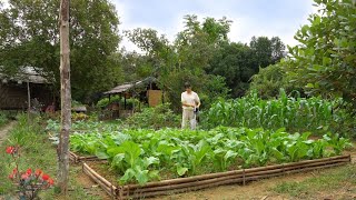 Full Video 90 Days of Farm Life Farming Garden Harvesting Cooking Animal Care [upl. by Jennee]