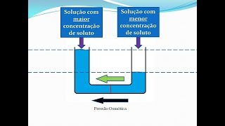 Como funciona a Osmose Reversa  Descrição Básica [upl. by Claudianus410]