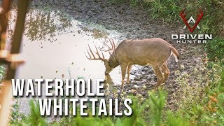 Waterhole Whitetails  Pats Tips in the Field [upl. by Derman]