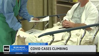 COVID cases climb in Northern California as new variant spreads [upl. by Eneluj544]