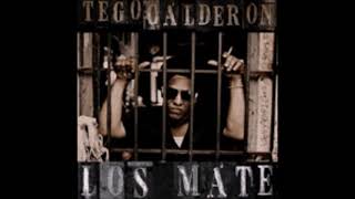 Los Mate  Tego Calderon Versiones [upl. by Godewyn]