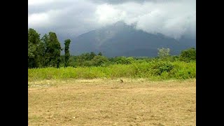 Plot available for sale in Thano road Dehradun [upl. by Fanya]