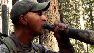 Corey Jacobsens Elk Calling Basics [upl. by Dermot]