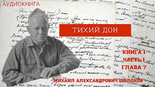 Михаил Шолохов quotТихий Донquot 1 книга 1 часть 7 глава [upl. by Kinnon]