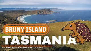 Bruny Island Tasmania Exploring Tasmanias Foodie Paradise [upl. by Kennet]