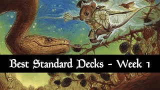 Best Standard Decks  Meta Review  August 2024  Bloomburrow  Week 1  MTG Arena [upl. by Akcebar555]