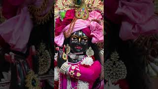 radhakrishna radhekrishnasong devotionalsong krishna hindugodsongs krishnabhajan radheshyam [upl. by Snilloc]