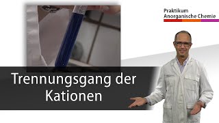 Trennungsgang der Kationen  Praktikum Anorganische Chemie [upl. by Aleekahs]