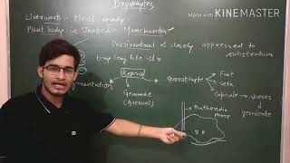 Liverworts detailed description [upl. by Ahsert395]