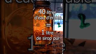 Comment faiton du sirop dérable Technique artisanale présentée en 43 secondes [upl. by Nybbor]