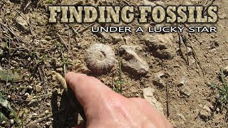 Finding Fossils  Under a Lucky Star [upl. by Damiani745]