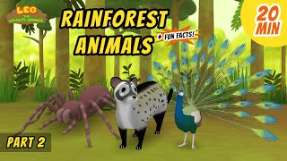 Rainforest Animals Part 23  Animals Stories for Kids  Educational  Leo the Wildlife Ranger [upl. by Siffre]