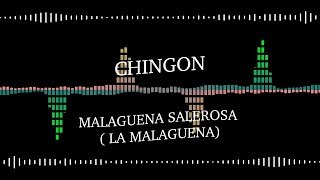 Chingon  Malagueña Salerosa Lyrics [upl. by Sirovaj802]