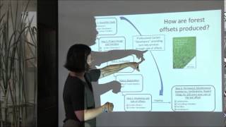 Forest Carbon Credit by Dr Kelly [upl. by Jacquie]