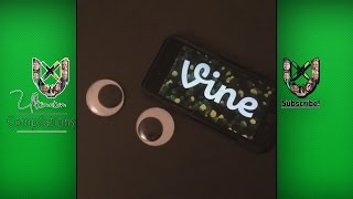 BEST End of Vine Compilation 2016 [upl. by Anhaj]