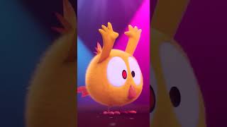 Wheres Chicky  BEST OF TIKTOK  Chicky Cartoon in English for Kids SHORTS [upl. by Jung]