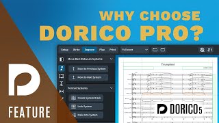 Why Choose Dorico Pro  Music Notation and Composition Software from Steinberg [upl. by Vasos299]