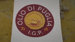 Consorzio Igp Olio di Puglia il seminario “Fa bene alla salute” [upl. by Teillo]