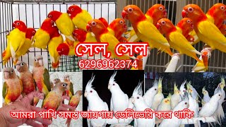 সেল সেল লাভ বার্ডস পেচলেস কনুর ফোন করুন 6296962374 [upl. by Lauree]