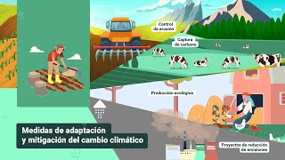 Medidas de adaptación y mitigación del cambio climático [upl. by Akierdna]