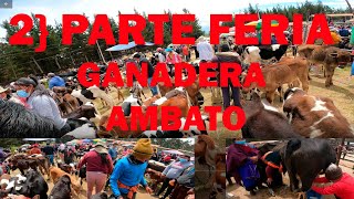 2 DE LA FERIA GANADERA DE LA CIUDAD DE AMBATO ECUADOR2022 [upl. by Kellene835]