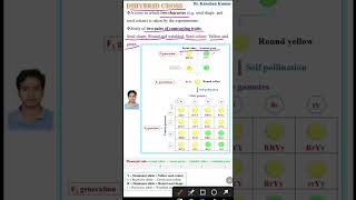 Dihybrid cross  Genetics class 12 [upl. by Iot]