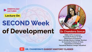 Lecture on Second Week of Development [upl. by Nolrac]