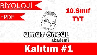 Biyoloji  10Sınıf  Kalıtımın Genel İlkeleri  TYT  Kalıtım 1  PDF [upl. by Ebsen]