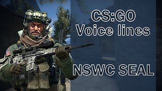 CSGO Agent Voice Lines NSWC SEAL [upl. by Ahsiuqet159]