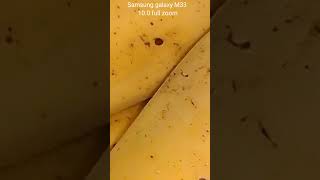 Samsung galaxy M33 full zoom 100 [upl. by Basset]