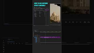 Motion Effect Controls  Adobe Premiere Pro में motions कैसे लगाये shorts [upl. by Gladdy]