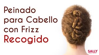 Peinado para Cabello con Frizz Recogido [upl. by Nic]