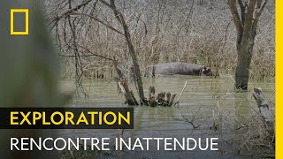 En voulant éviter un chemin ardu Hazen Audel se retrouve face à un hippopotame [upl. by Mart]