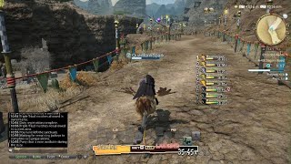 FINAL FANTASY XIV Online They were so sure they had it fyp gaming mmorpg [upl. by Giwdul]