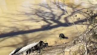 Oklahoma poteau river [upl. by Candice]