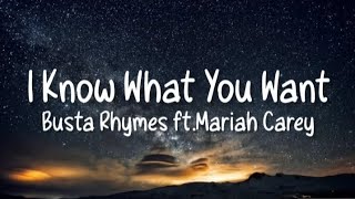 Busta Rhymes Mariah Carey  I Know What You Want Lyrics honey see you looking at metiktok remix [upl. by Annaehr]