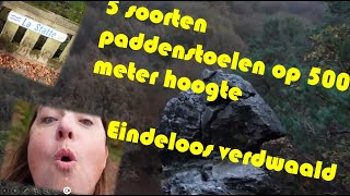 500 Meter Hoog Vijf Soorten Paddenstoelen en Eindeloos Verdwaald [upl. by Tammara854]