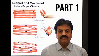 Skeletal Muscle Organization In Sindhi  Inter Biology  Sum Academy online classes [upl. by Button]