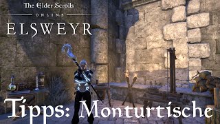 The Elder Scrolls Online Tipps – Monturtische Wie nutzen Anleitung [upl. by Cyndy92]