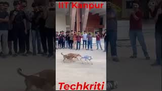 Dog Vs Robot in Techkriti 2024 at IIT Kanpur techkriti iit iitk dog iitkanpur animals robot [upl. by Ennoira]